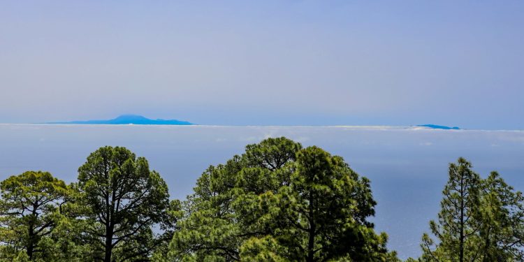 Buenas Noches La Palma · viernes 3 de julio de 2026