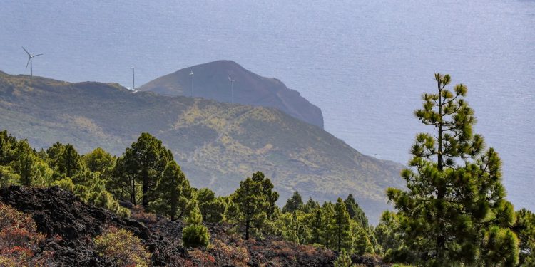 El tiempo en La Palma esta semana: vuelve el verano canario, con alisios y panza de burro en el norte y sol en el oeste