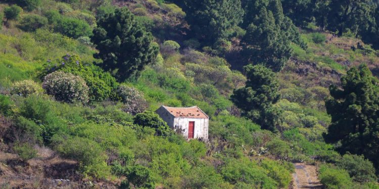 El tiempo del martes en La Palma: el calor toca techo con hasta 40 grados en las cumbres y el este como oasis fresco