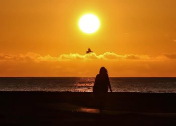 Buenas Tardes La Palma · martes 14 de julio de 2026