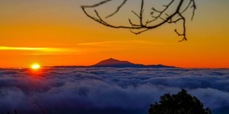 Buenas Noches La Palma · domingo 19 de julio de 2026