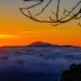 Buenas Noches La Palma · domingo 19 de julio de 2026