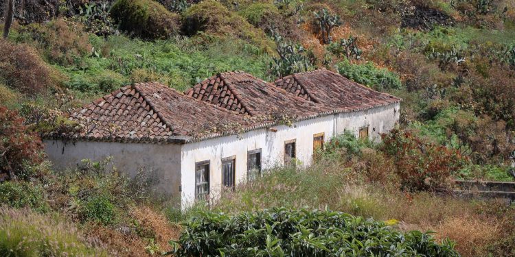 Buenas Noches La Palma · miércoles 15 de julio de 2026