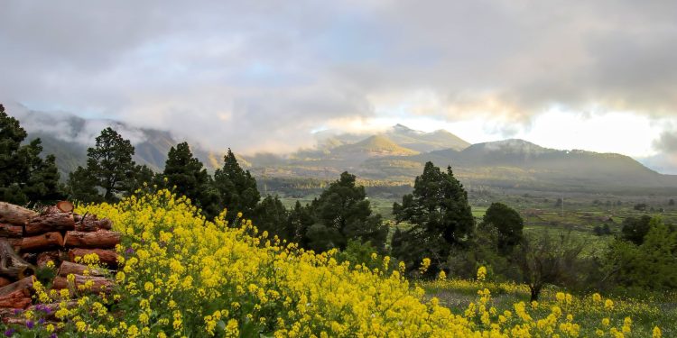 El tiempo del jueves en La Palma: patrón estancado, calor en el oeste y mar picada en el este