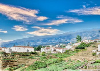 Vista de la Ciudad de Los Sauces en 1900, foto del Archivo General de La Palma