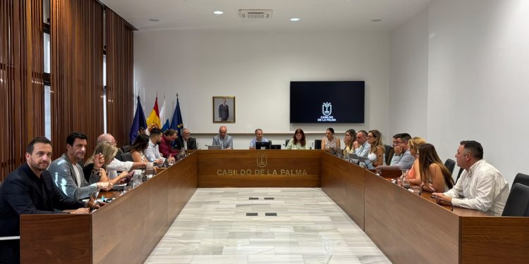 El Cabildo aprueba cerca de 30 millones para La Palma: carreteras, agua, vivienda y saldar deudas con la cultura