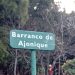 El Ronquido de Ajonique