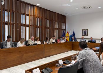 Sesión plenaria del Cabildo de La Palma. Foto: Cabildo de La Palma