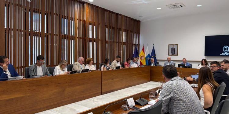 Sesión plenaria del Cabildo de La Palma. Foto: Cabildo de La Palma