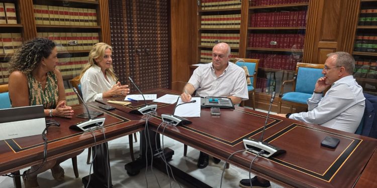 El presidente del Cabildo, Sergio Rodríguez, reunido con la consejera de Sanidad, Esther Monzón