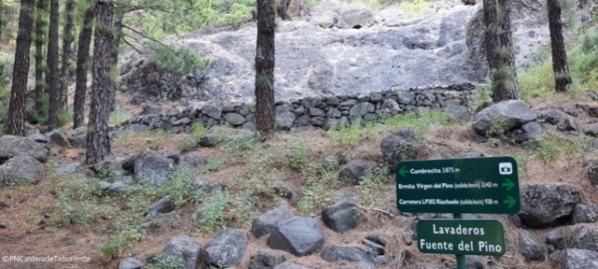 Fuente del Pino