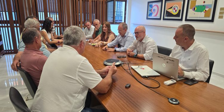 Nieves Lady Barreto y Sergio Rodríguez en la reunión de coordinación sobre la reconstrucción agraria del Valle de Aridane