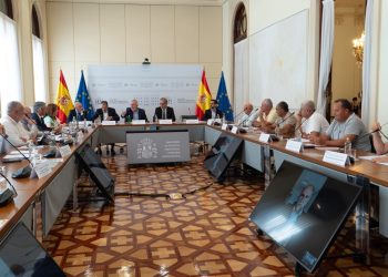 Reunión del Gobierno de Canarias y Asepalma con el ministro Ángel Víctor Torres en Madrid