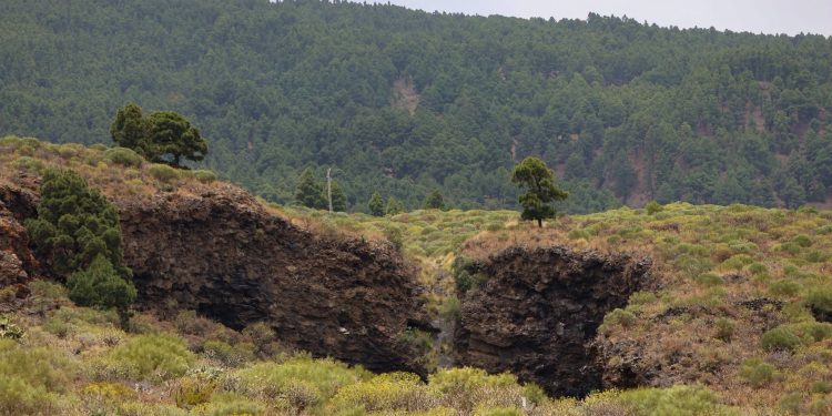 El tiempo del miércoles en La Palma: festivo de Las Nieves con más de 40 ºC en Garafía, Fuencaliente y El Paso