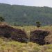 El tiempo del miércoles en La Palma: festivo de Las Nieves con más de 40 ºC en Garafía, Fuencaliente y El Paso
