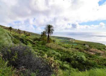 El tiempo del sábado en La Palma: el alisio se debilita y deja lluvias débiles en El Paso por la tarde