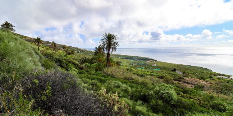 El tiempo del sábado en La Palma: el alisio se debilita y deja lluvias débiles en El Paso por la tarde
