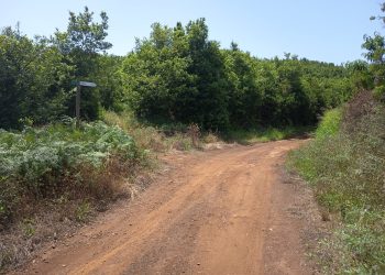 El PP de Puntallana pide desbrozar los senderos y llevar hidrantes a los barrios ante el riesgo de incendios