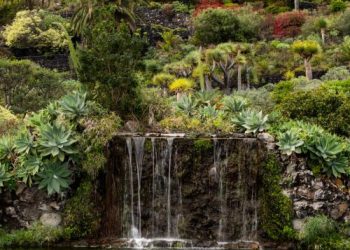 El Parador de La Palma estrenará en septiembre un espacio dedicado a los aromas del Camino Natural de la isla
