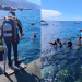 Jornada de bautismos de buceo gratuitos en La Bombilla, Tazacorte