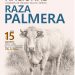 Cartel del VI Concurso Nacional de Ganado Vacuno de Raza Palmera en Villa de Mazo