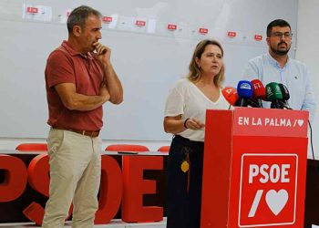El PSOE de La Palma lleva a los tribunales al Gobierno de Canarias por no entregar el listado de las ayudas del volcán