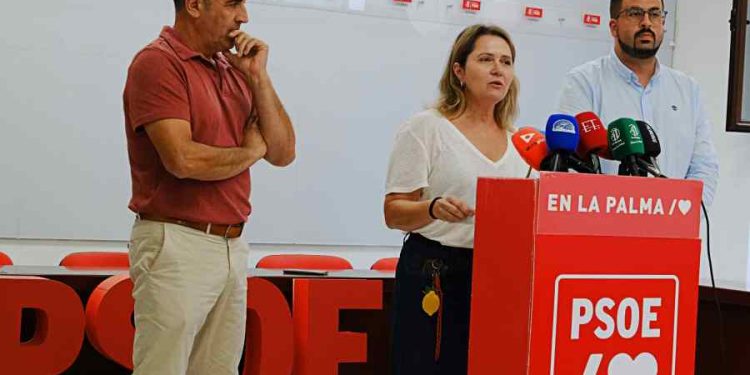 El PSOE de La Palma lleva a los tribunales al Gobierno de Canarias por no entregar el listado de las ayudas del volcán
